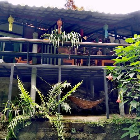 แม่อุ๊ยโฮมสเตย์&Mae Uai Homestay Ban Pok Nai Eksteriør billede